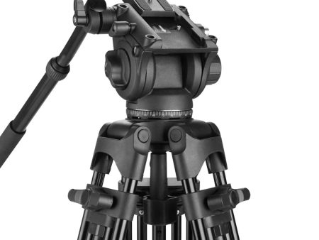 WEIFENG WF-616 Professional Video Tripod with 75mm Bowl Fluid Head 360° Pan & -75° +90° Tilt, Quick Release Plate, 1 4  & 3 8  Attancement Threads, 180cm Max. Height, 8kg Max. Load Capacity for DSLR, SLR, Mirrorless, Movie, Cinema Camera Online