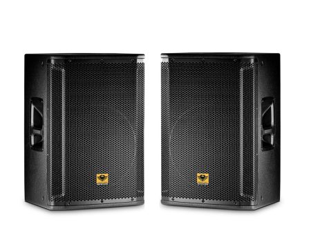 KEVLER SRX-812A 12  1000W 2-Way Bass Reflex Full Range Active Loud Speaker (PAIR) with Built-In Class D Amplifier, Tuner Knobs, XLR Line In Out, 2 SpeakOn Terminals and Multiple Handles Sale