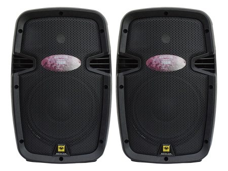 KEVLER EON-8 8  200W 2-Way Bass Reflex Full Range Passive Loud Speaker (Pair) with Multiple Handles, Bottom Pole Mount, Multi Angle Enclosure and Easy Daisy-Chain Loop Connection Discount