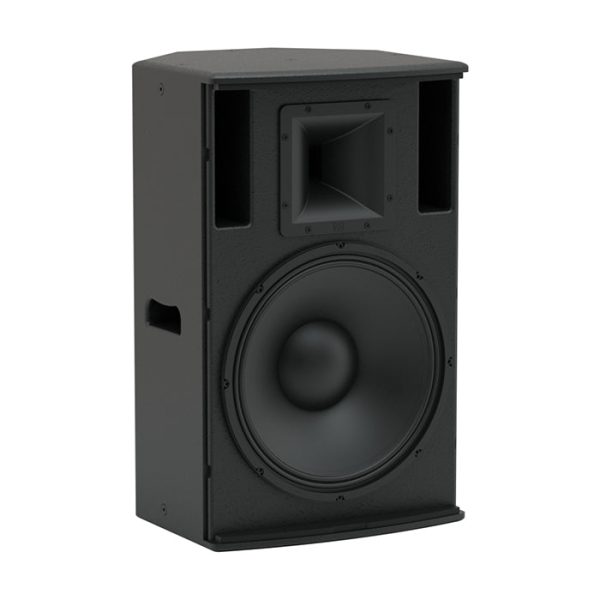 Martin Audio Blackline X15+ 2400W 600W 15  2-Way High Power Portable Passive Loudspeaker with 55Hz-18kHz Frequency Response, Integrated Handle for Stage Monitor | X15+ BLACKLINE Sale