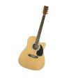 Fernando AW-412C 6-String 20 Frets 41  Dreadnaught Acoustic Guitar with Rosewood Fingerboard, Spruce Top and Glossy Finish for Musicians (Natural) | AW-412C X Hot on Sale