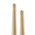 Zildjian 5A Anti-Vibe Series Hickory Drumsticks Oval Tip for Drums and Cymbals (Wood, Nylon) | Z5AA, Z5ANA Online now