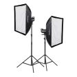 Godox SL-60W 60W 5600K Daylight LED Video Light Kit for Indoor & Outdoor Photoshoots (Available in 2-Light Kit, 3-Light Kit) Sale