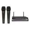 CAROL DWR-882 2.4GHZ Dual Handheld Digital Wireless Microphone with 16 Channel, 20 Meters Transmission Range Online