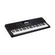 Casio CT-X700 61 Key Touch Sensitive Portable Piano Keyboard with Grading and Voice Instruction, Auto-Harmonize, Tones Rhythms Tempos Registration, Auto-Accompaniment & Arpeggiator Online Sale