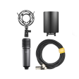 Godox XMic 100GL Large Diaphragm Cardioid Studio Condenser XLR Microphone with 48V Phantom Power, Gold-Plated Capsule, Low Self-Noise, Shock Mount Protection for Podcasting, Streaming, and Vocals Discount