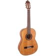 Valencia 400 Series Classical Full Size Acoustic Guitar with Satin Finish, 6-String Nylon, 19 Frets for Student Musicians, Beginner Players (Vintage Natural, Classic Sunburst) | VC404, VC404CSB Supply